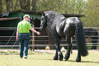 woman and Friesian horse