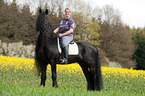 woman rides Frisian horse