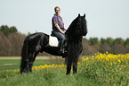 woman rides Frisian horse