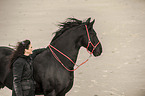 woman and Frisian Horse