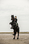 woman rides Frisian Horse