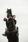 woman rides Frisian Horse