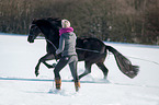 Friesian Horse