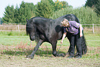 woman and Friesian Horse