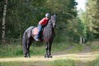 woman rides Friesian Horse