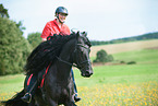 woman rides Friesian Horse