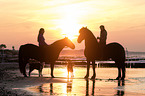 women rides Friesian horses