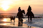 women rides Friesian horses