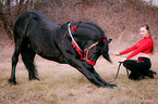 woman with Friesian Horse