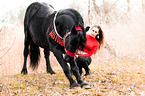 woman with Friesian Horse