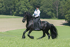 woman rides Friesian horse