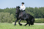 woman rides Friesian horse