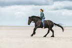 woman and Frisian horse