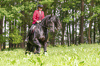 woman with Friesian horse