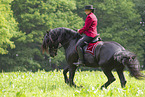 woman with Friesian horse