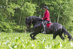 woman with Friesian horse