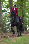 woman with Friesian horse