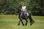 woman rides Frisian