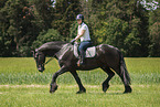 woman rides Frisian