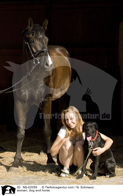 Frau, Hund und Deutsches Reitpferd / woman, dog and horse / NS-02059