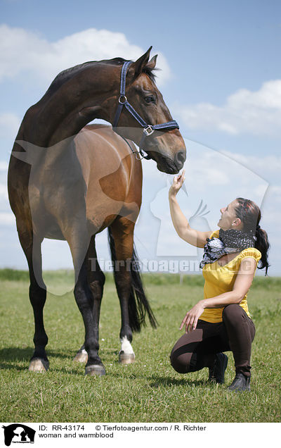 Frau und Deutsches Reitpferd / woman and warmblood / RR-43174