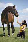 woman and warmblood