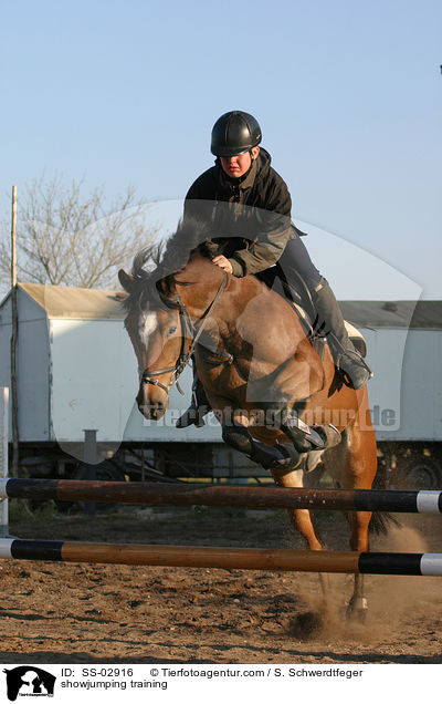 showjumping training / SS-02916