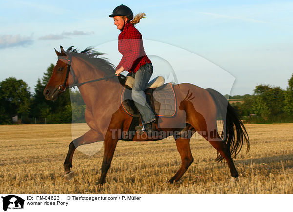 Frau reitet Deutsches Reitpony / woman rides Pony / PM-04623