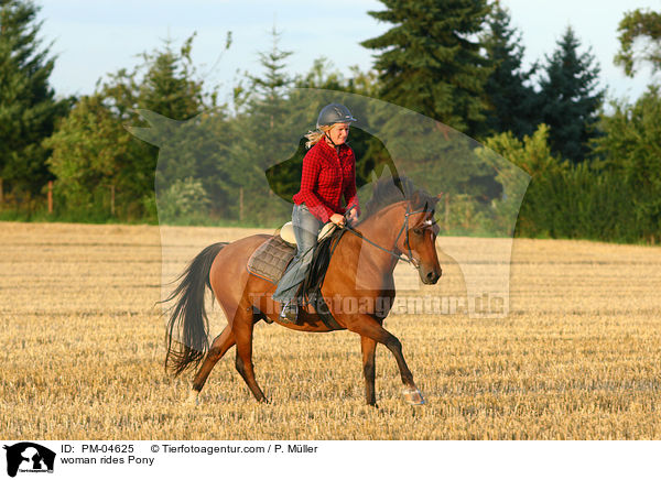Frau reitet Deutsches Reitpony / woman rides Pony / PM-04625