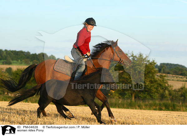 Frau reitet Deutsches Reitpony / woman rides Pony / PM-04628