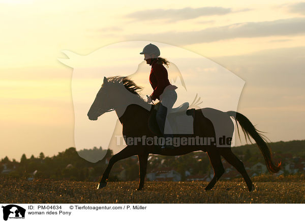 Frau reitet Deutsches Reitpony / woman rides Pony / PM-04634