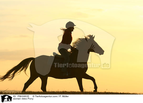 Frau reitet Deutsches Reitpony / woman rides Pony / PM-04635