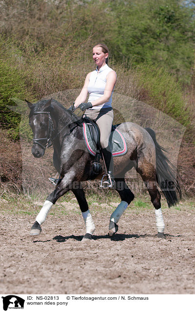 Frau reitet Deutsches Reitpony / woman rides pony / NS-02813