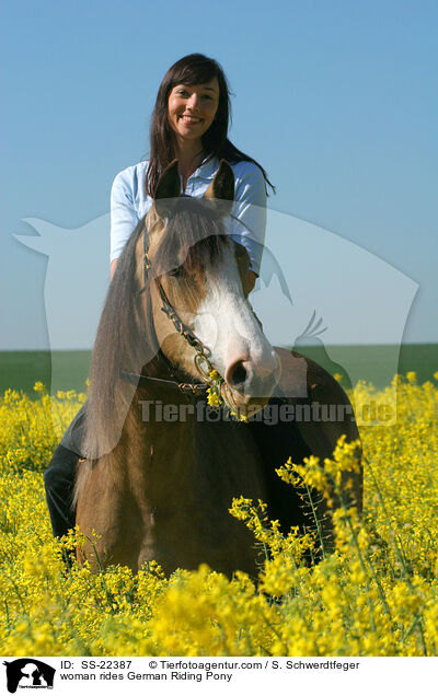 Frau reitet Deutsches Reitpony / woman rides pony / SS-22387