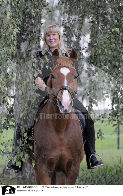 Frau reitet Deutsches Reitpony / woman rides pony / AP-08658