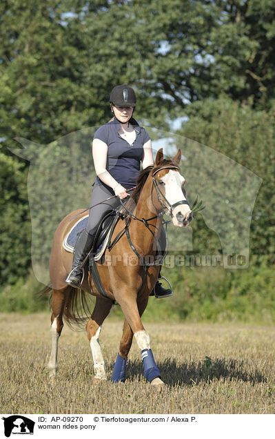 Frau reitet Deutsches Reitpony / woman rides pony / AP-09270