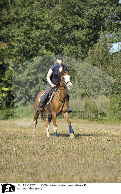 Frau reitet Deutsches Reitpony / woman rides pony / AP-09271
