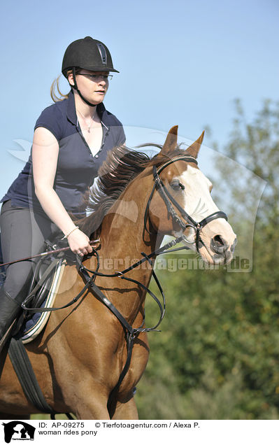 Frau reitet Deutsches Reitpony / woman rides pony / AP-09275