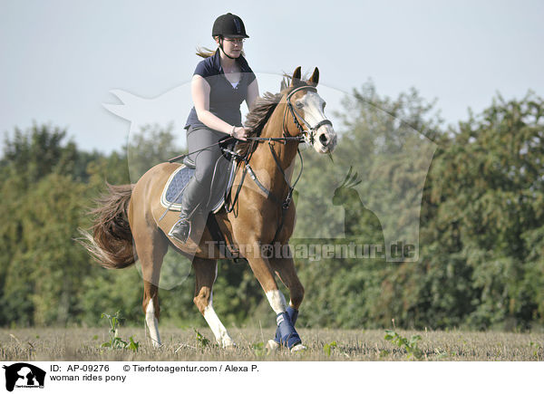 Frau reitet Deutsches Reitpony / woman rides pony / AP-09276