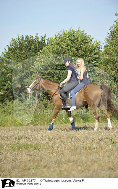 Frauen reiten Deutsches Reitpony / women rides pony / AP-09277