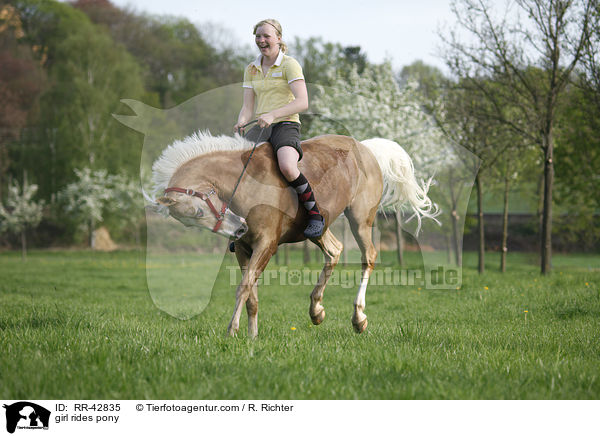 Mdchen reitet Deutsches Reitpony / girl rides pony / RR-42835