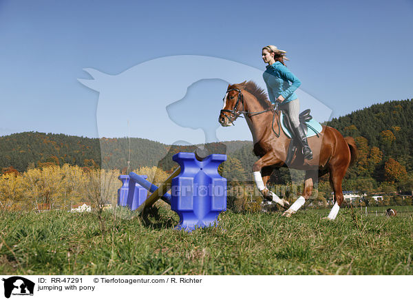 Frau springt mit Deutsches Reitpony / jumping with pony / RR-47291
