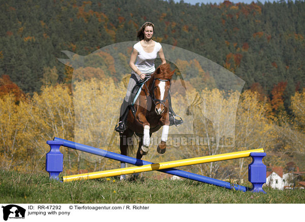 Frau springt mit Deutsches Reitpony / jumping with pony / RR-47292