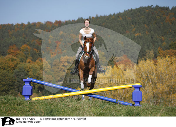 Frau springt mit Deutsches Reitpony / jumping with pony / RR-47293