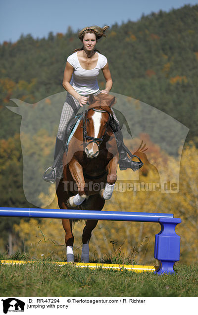 Frau springt mit Deutsches Reitpony / jumping with pony / RR-47294