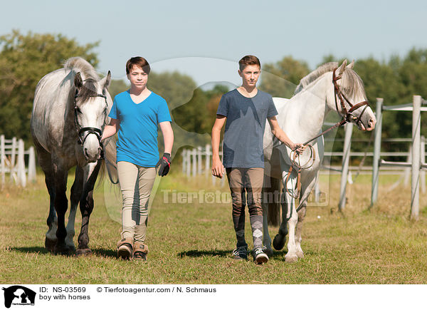 Jungen mit Pferden / boy with horses / NS-03569