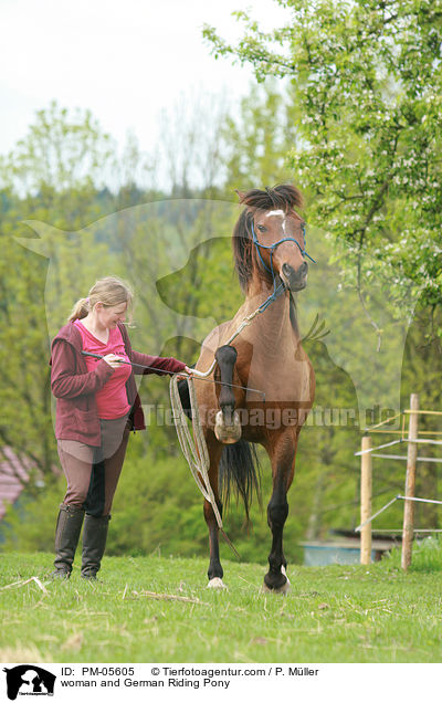 woman and German Riding Pony / PM-05605