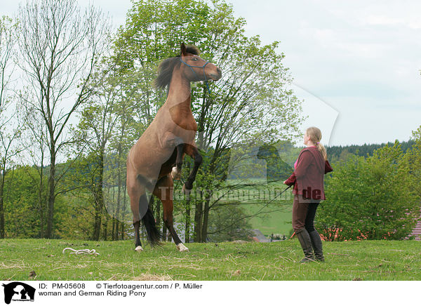 woman and German Riding Pony / PM-05608