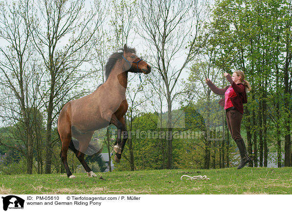 Frau und Deutsches Reitpony / woman and German Riding Pony / PM-05610