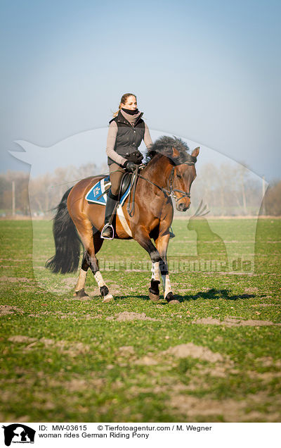 Frau reitet Deutsches Reitpony / woman rides German Riding Pony / MW-03615